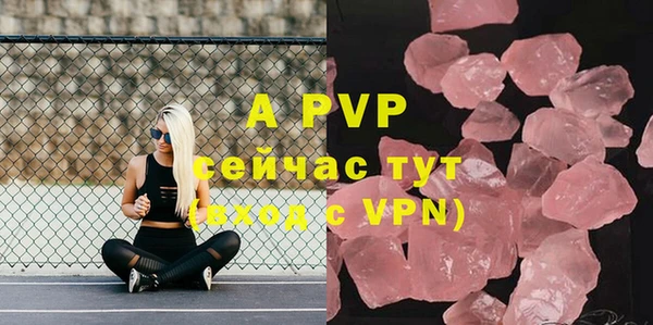 стафф Заволжье
