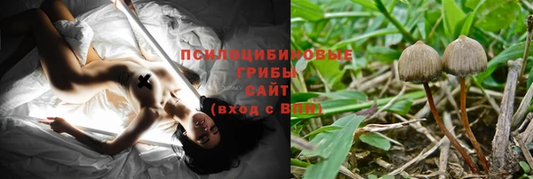 ECSTASY Заволжск
