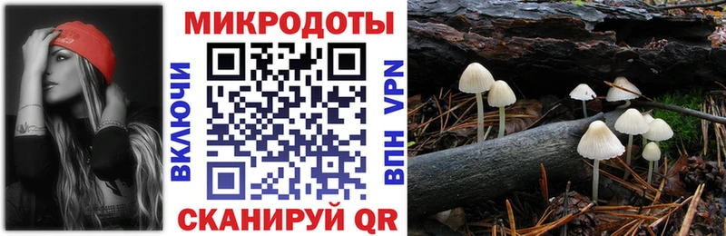 Псилоцибиновые грибы ЛСД  Купить  Ельня 